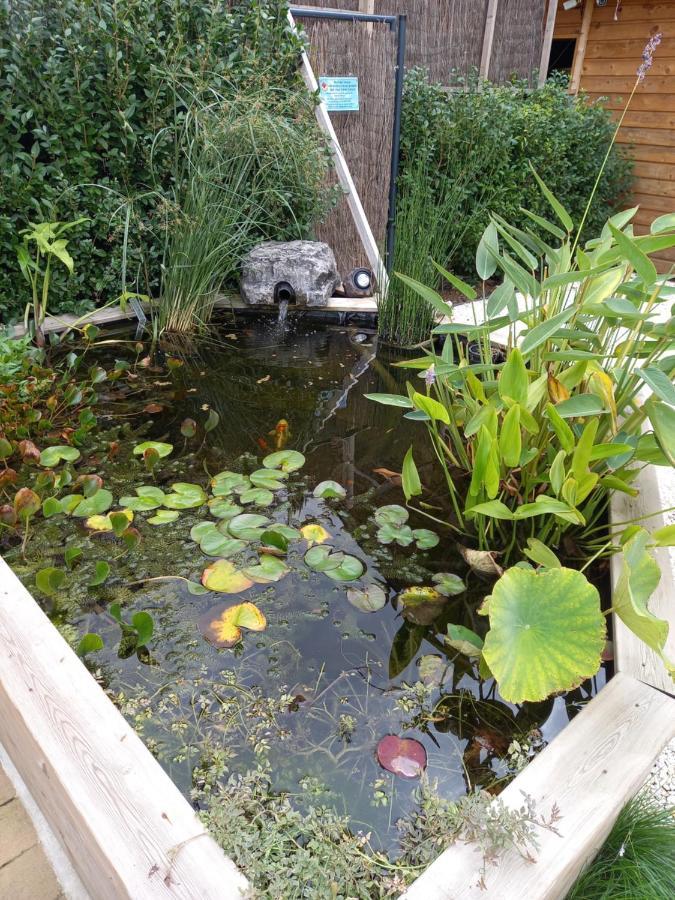 Appartement 3 Eme Etage Avec Piscine Partagee Sedan Eksteriør billede